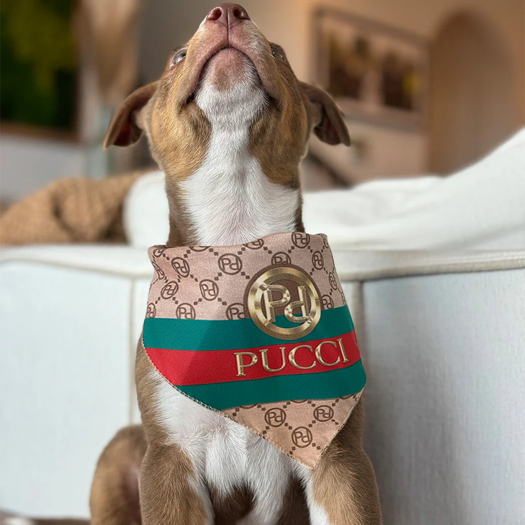 Pucci