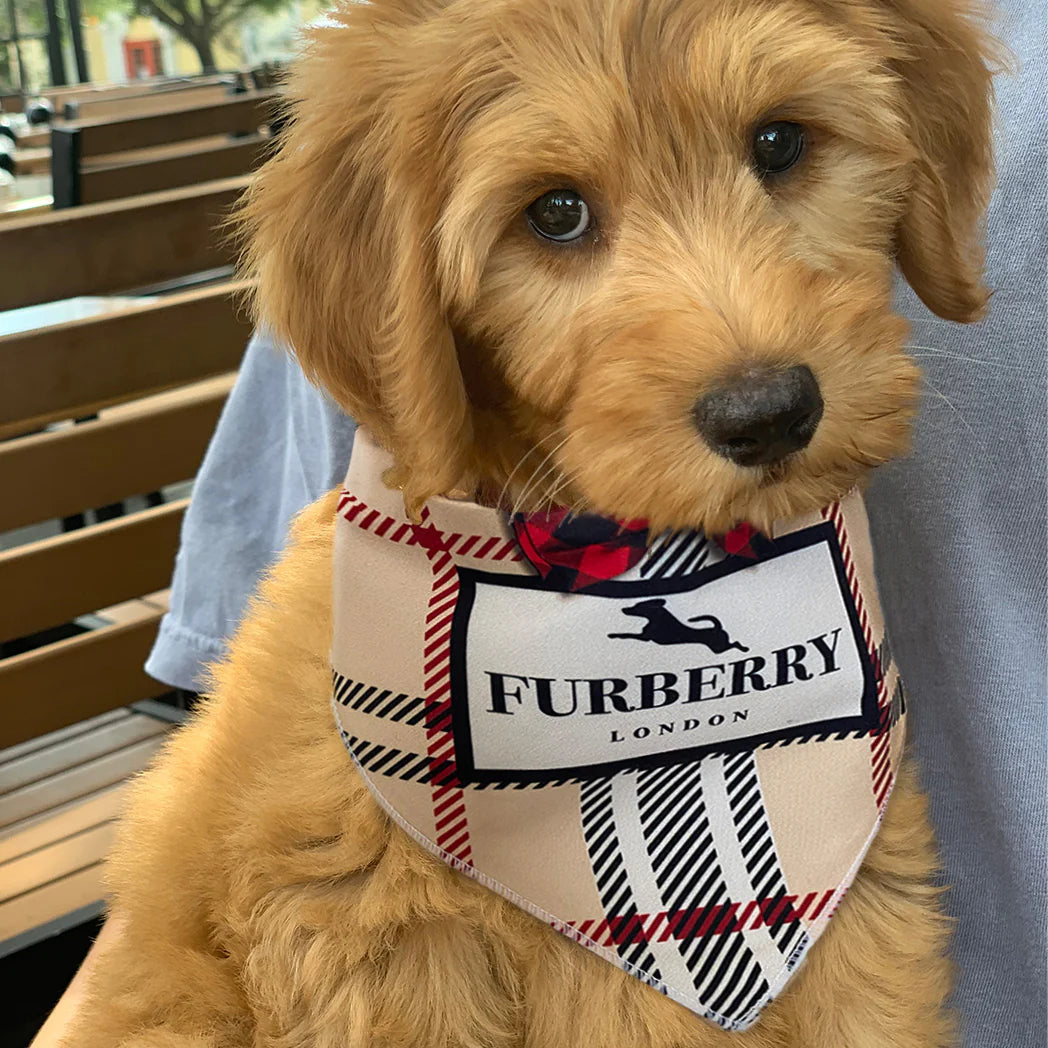 Furberry